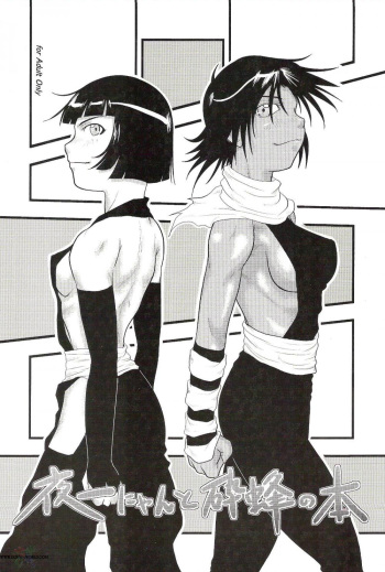 Yoruichi Nyan to Soi Fon no Hon cover