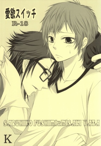 Aiyoku Switch cover