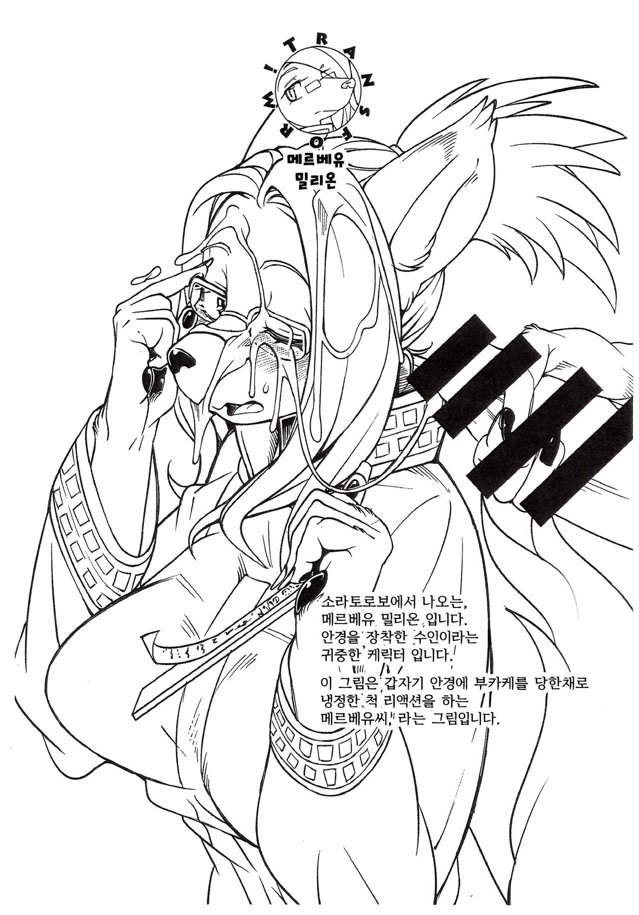 Mesukemo Catalog Transform page 3 full
