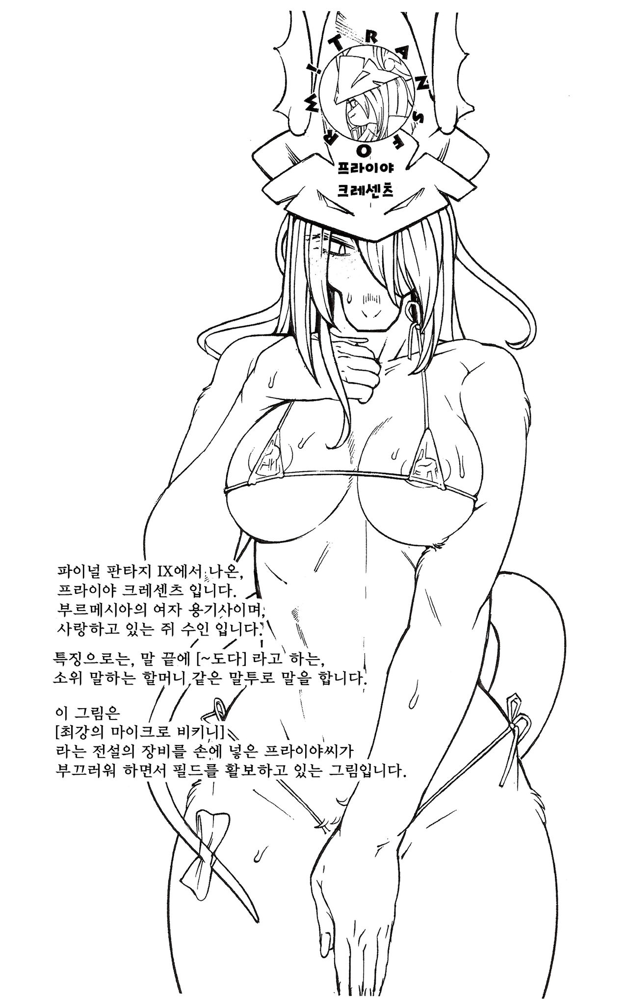 Mesukemo Catalog Transform page 7 full