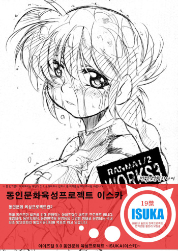 RANMA1/2 WORKS 3 cover