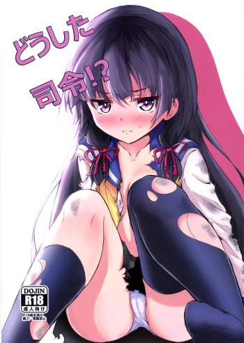 Doushita Shirei!? cover