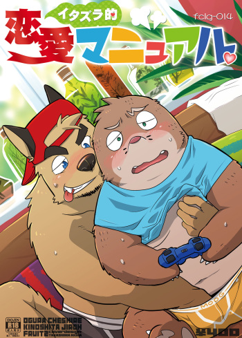 Itazurateki Renai Manual cover