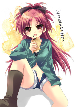 Lolis with Open Flies