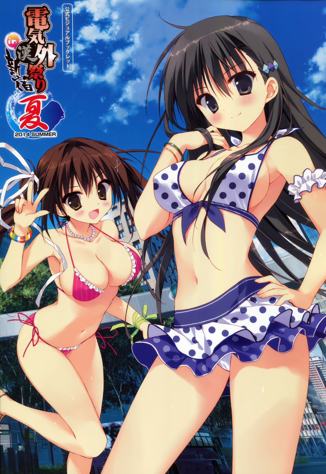 Akihabara Denkigai Matsuri 2014 Summer page 1 full