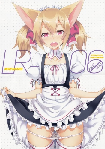 LR-06 cover