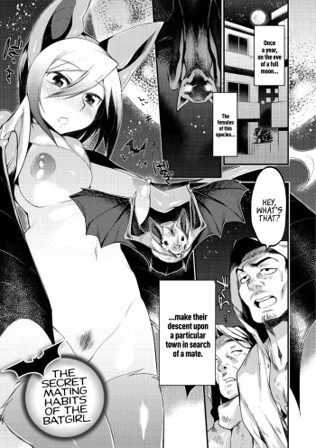 Jitsuroku! Koumori Onna-tachi no Hanshokuki | The Secret Mating Habits of the Batgirl cover