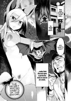 Jitsuroku! Koumori Onna-tachi no Hanshokuki | The Secret Mating Habits of the Batgirl