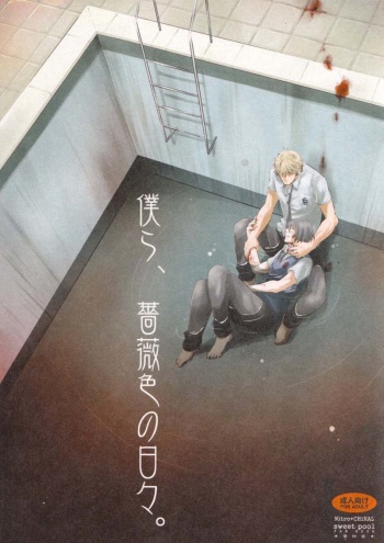 Bokura, Barairo no Hibi. cover