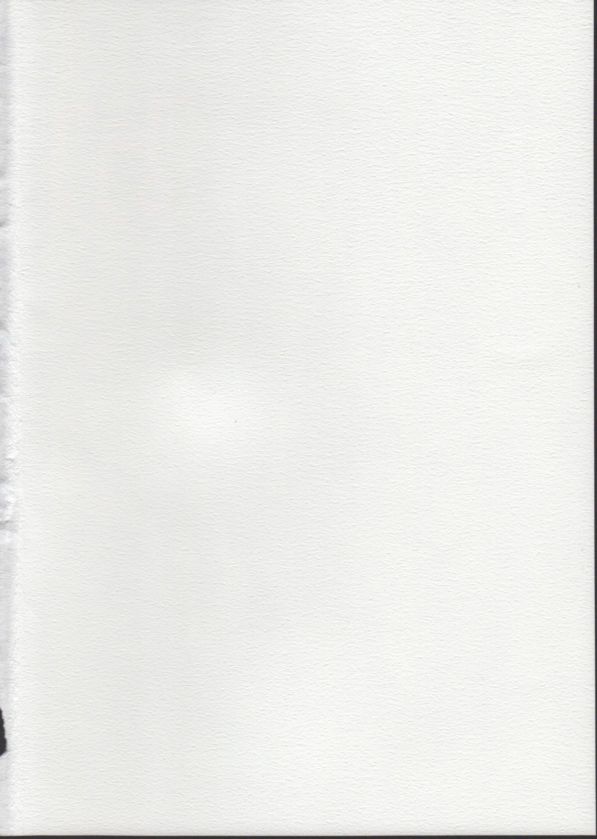 Sanmata Plus page 2 full