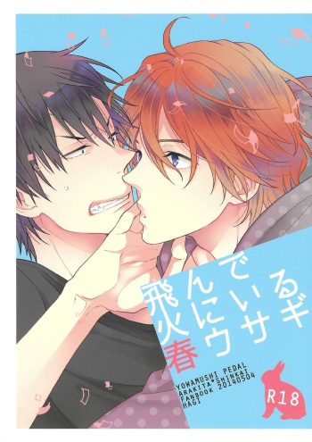 Tonde Hi Ni Iru Haru Usagi cover