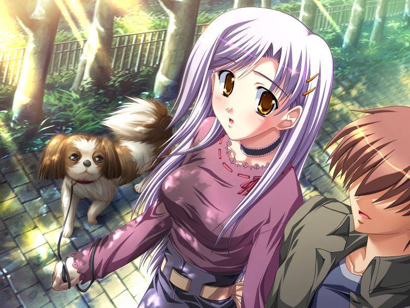 Harukoi Otome - Otome no Sono de Gokigenyou page 8 full