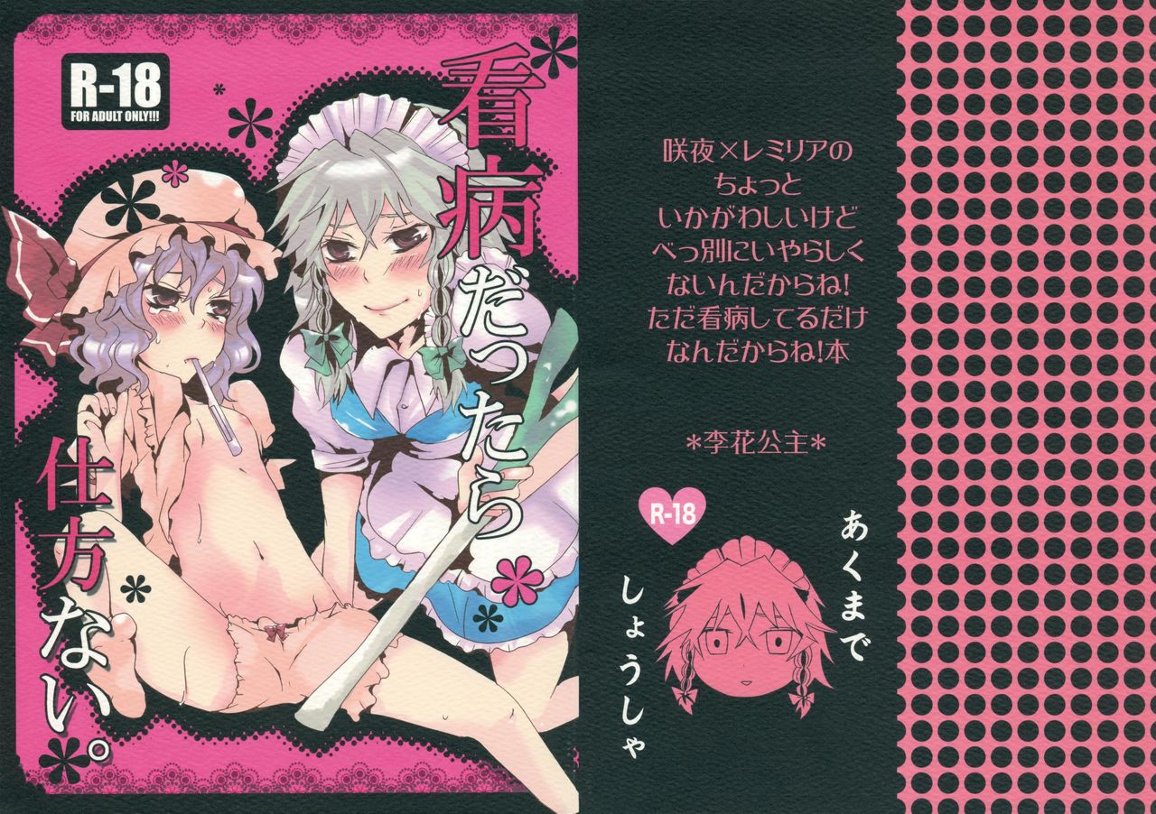 Kanbyou Dattara Shikata Nai | Ya que Soy su Enfermera no Tengo otra Opción page 1 full