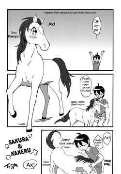 Sakura & kakeru