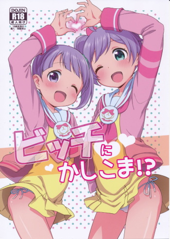 Bitch ni kashikoma!? cover
