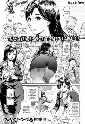 Princesa descuidada  =Keta-I no Fansub= cover