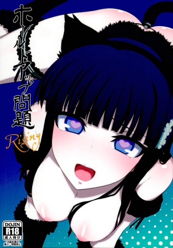 Holdup Problem Rising cover