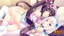 nekopara pics and gifs
