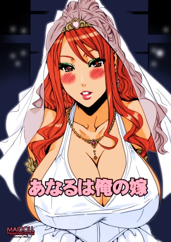Anaru wa Ore no Yome cover