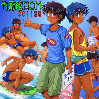 ROM 2011 Seika cover