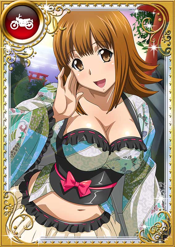 Ikkitousen Gallery page 4 full
