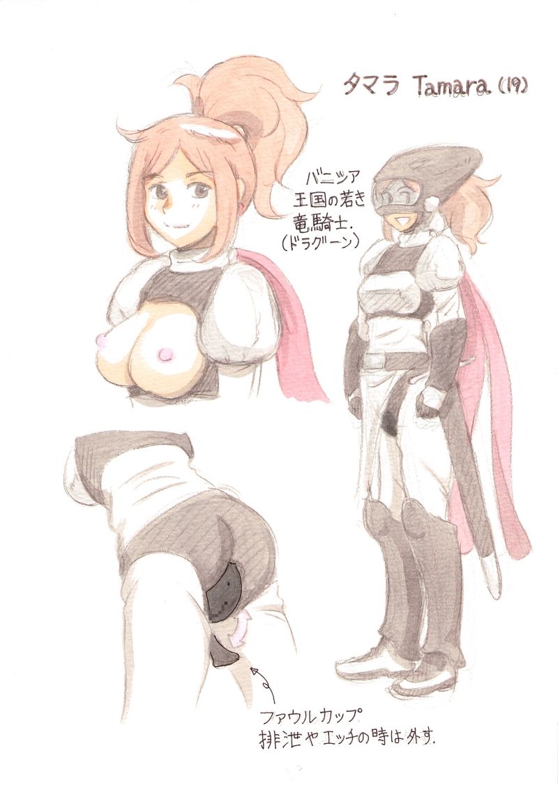 Tatakau Hodo Hito de wa nakunaru - Dragoon Maiden page 3 full