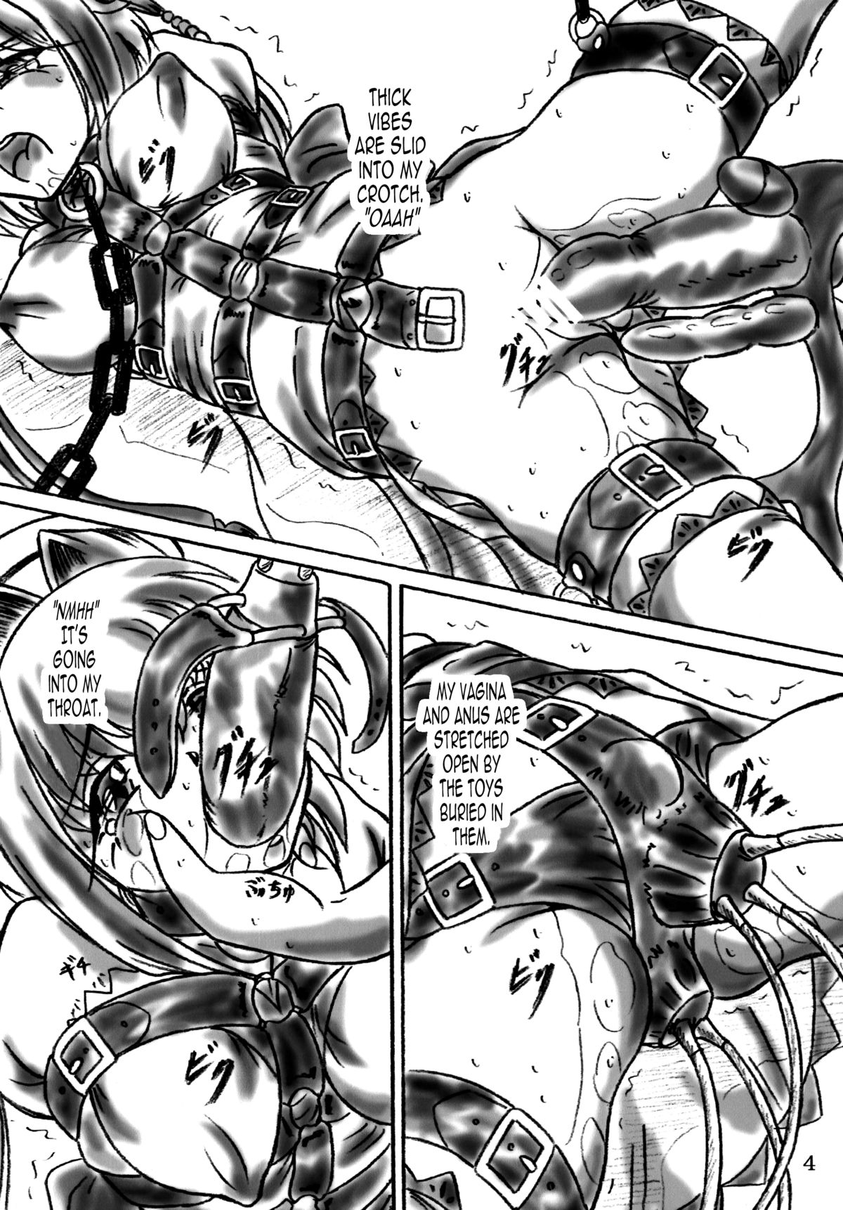 Ririan. 4 - Shin Chouun Desu | True - I am Chouun page 3 full