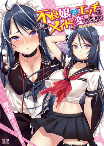 Furyou Musume ga H na Juujun Maid ni Kawaru made Goshujin Sama no Ero Lesson cover