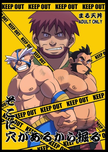 Soko ni Ana ga Aru kara Horu cover