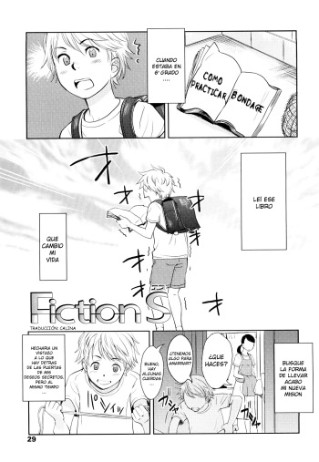 Fiction S cover
