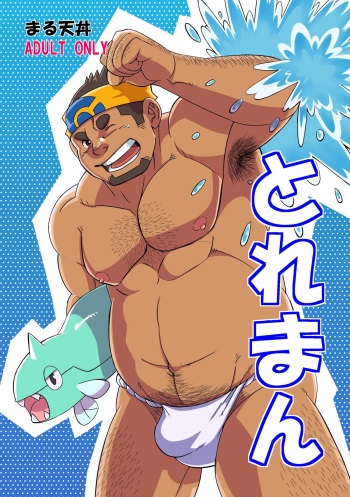 Toreman cover
