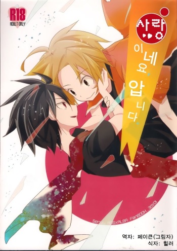 Ai desu ne, Wakarimasu. cover