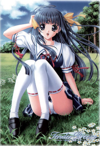 Tender Breeze cover