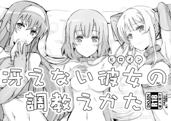 Saenai Heroine no Oshiekata cover