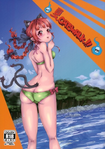 Natsu Catswalk cover