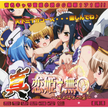 Yuumei Chara Kannou Shousetsu CG Shuu No. 171!! Shin Koihime Musou HaaHaa CG Shuu cover