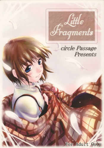Little Fragments cover