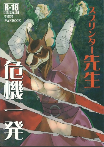Splinter-sensei Kiki-ippatsu cover