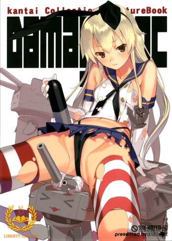 DAMAGEinc cover