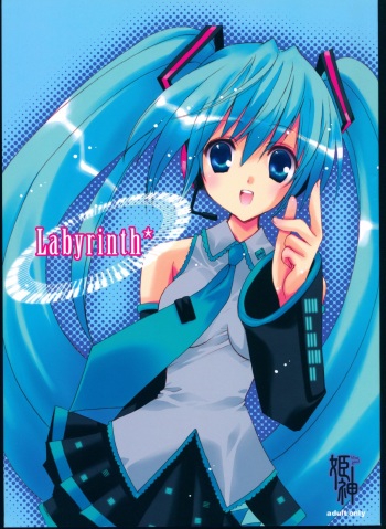 Labyrinth* cover