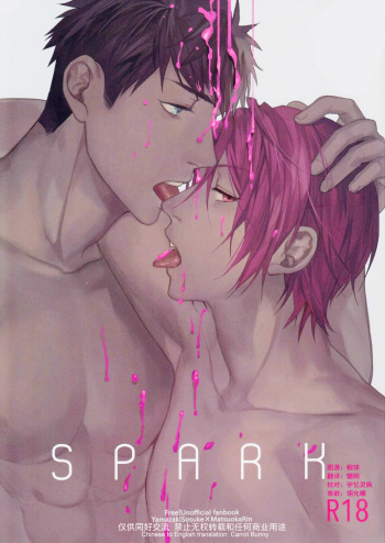 SPARK cover