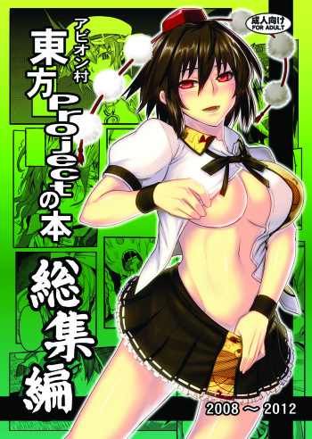 Touhou Project no Hon Soushuuhen cover