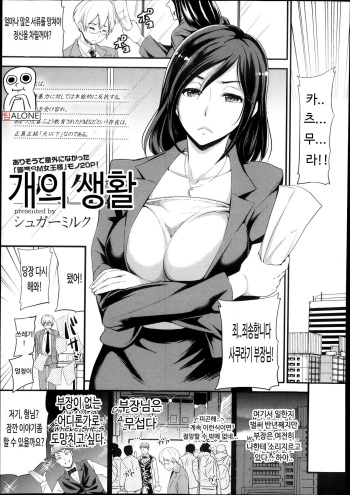 Inu no Seikatsu | 개의생활 cover