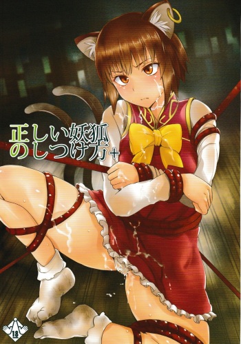 Tadashii Youko no Shitsukekata+ cover