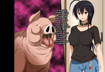 Super Hentai CG Shuu 12 Buta ni Kawarewru Mesu Dorei Sono 2 cover