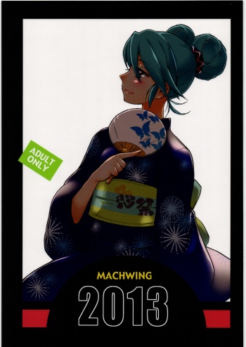MACHWING 2013 cover