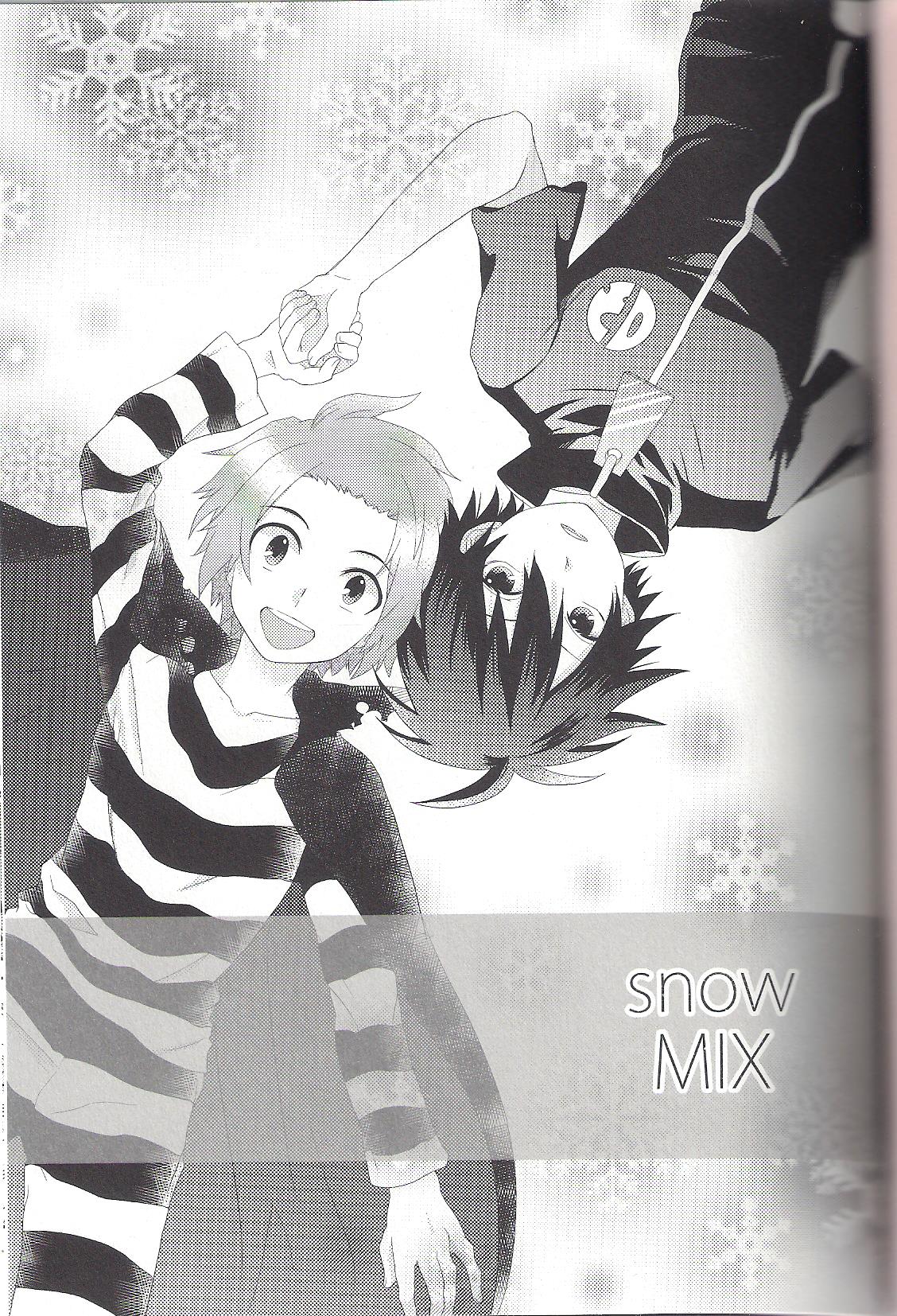 snowMIX page 4 full