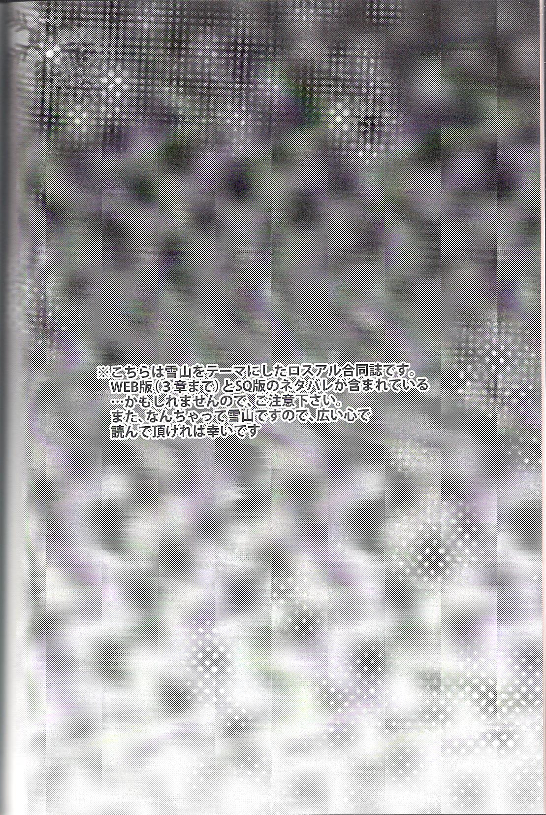 snowMIX page 5 full