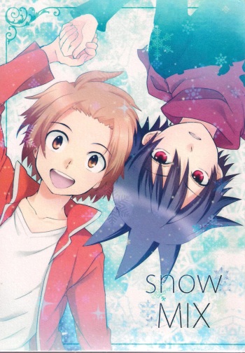snowMIX cover
