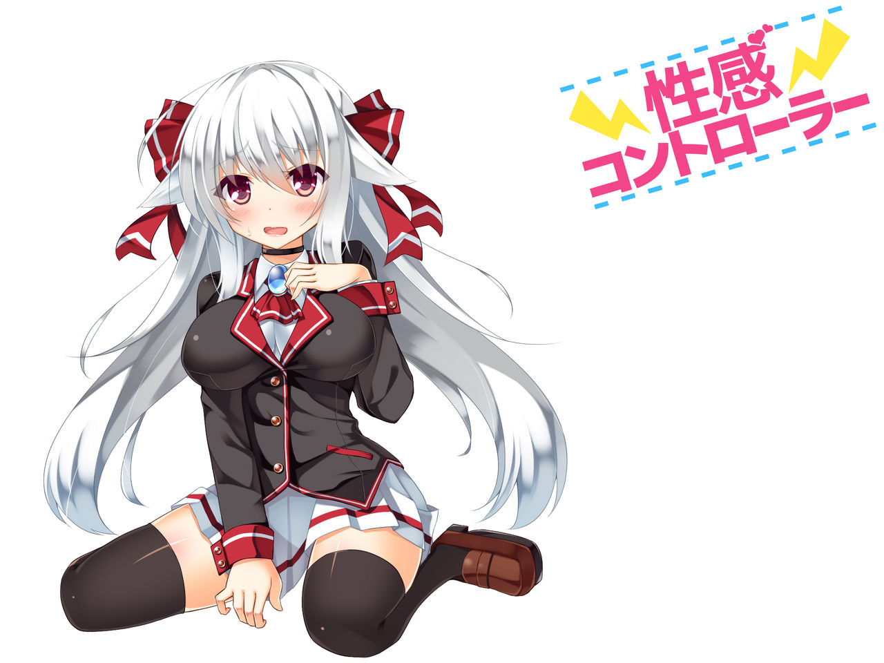 Seikan Controller page 2 full